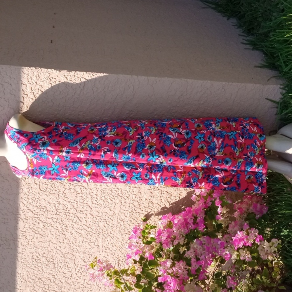 LulaRoe dress